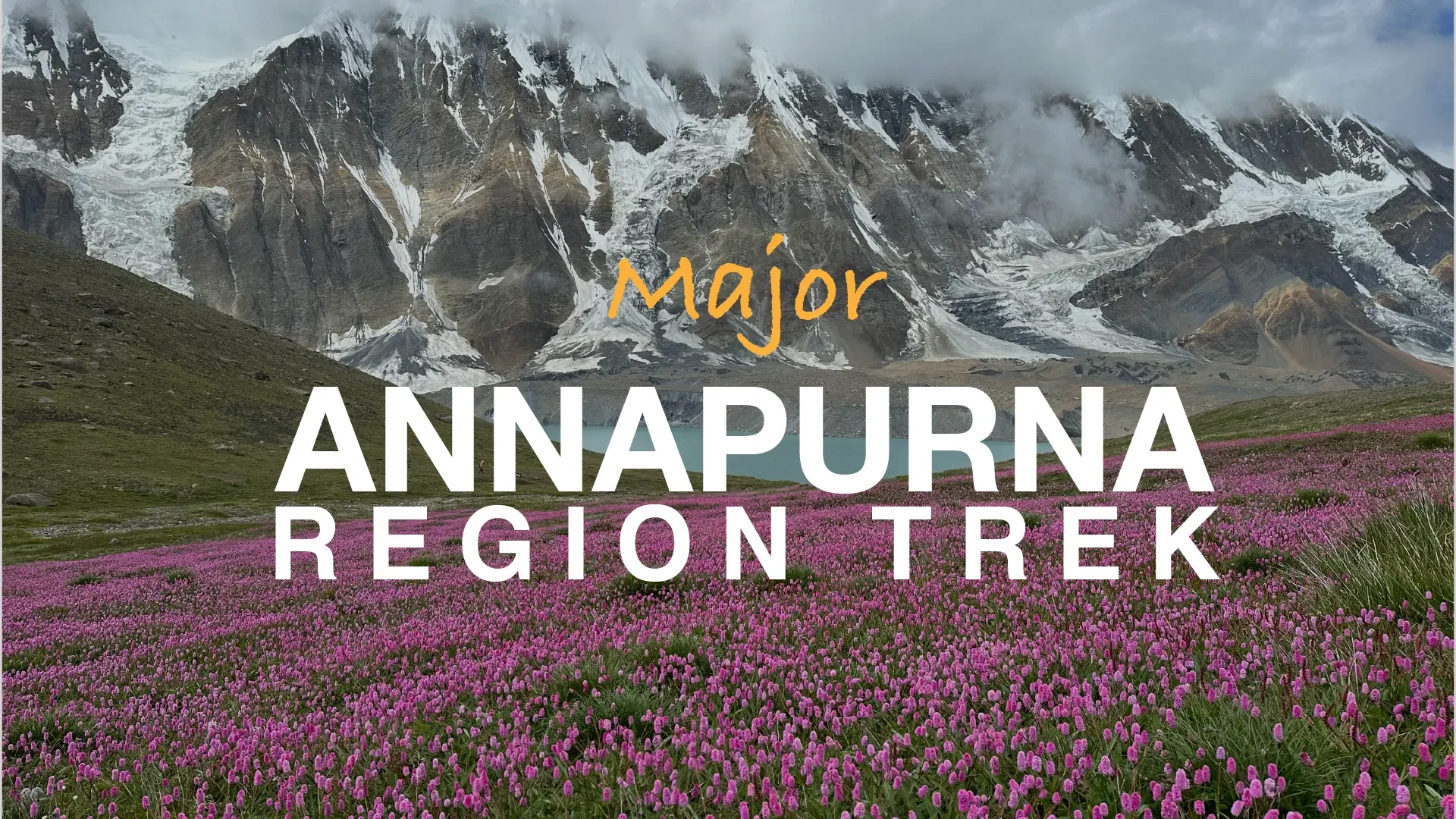 North Nepal Travel & Trek: Best Trekking Agency in Pokhara for the Annapurna Region Trek