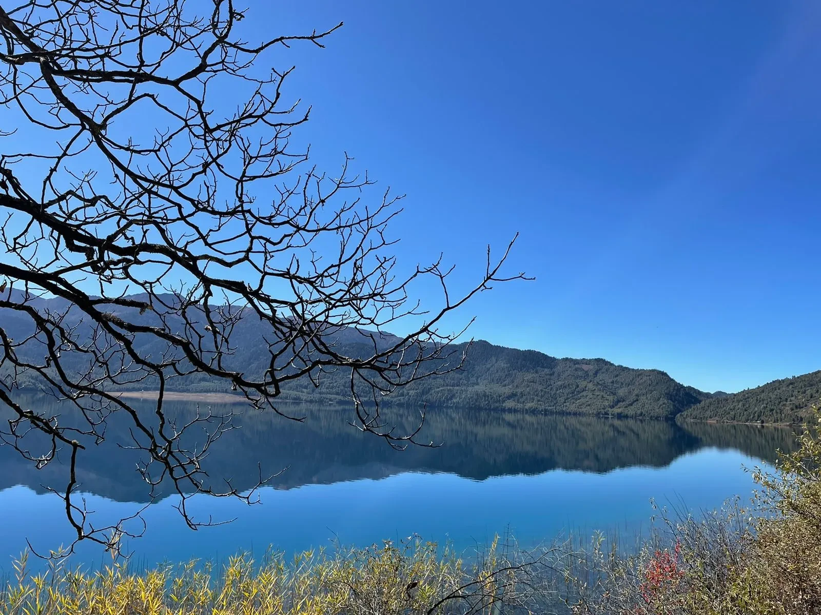 Jumla Rara Lake Trek: Largest Lake of Nepal