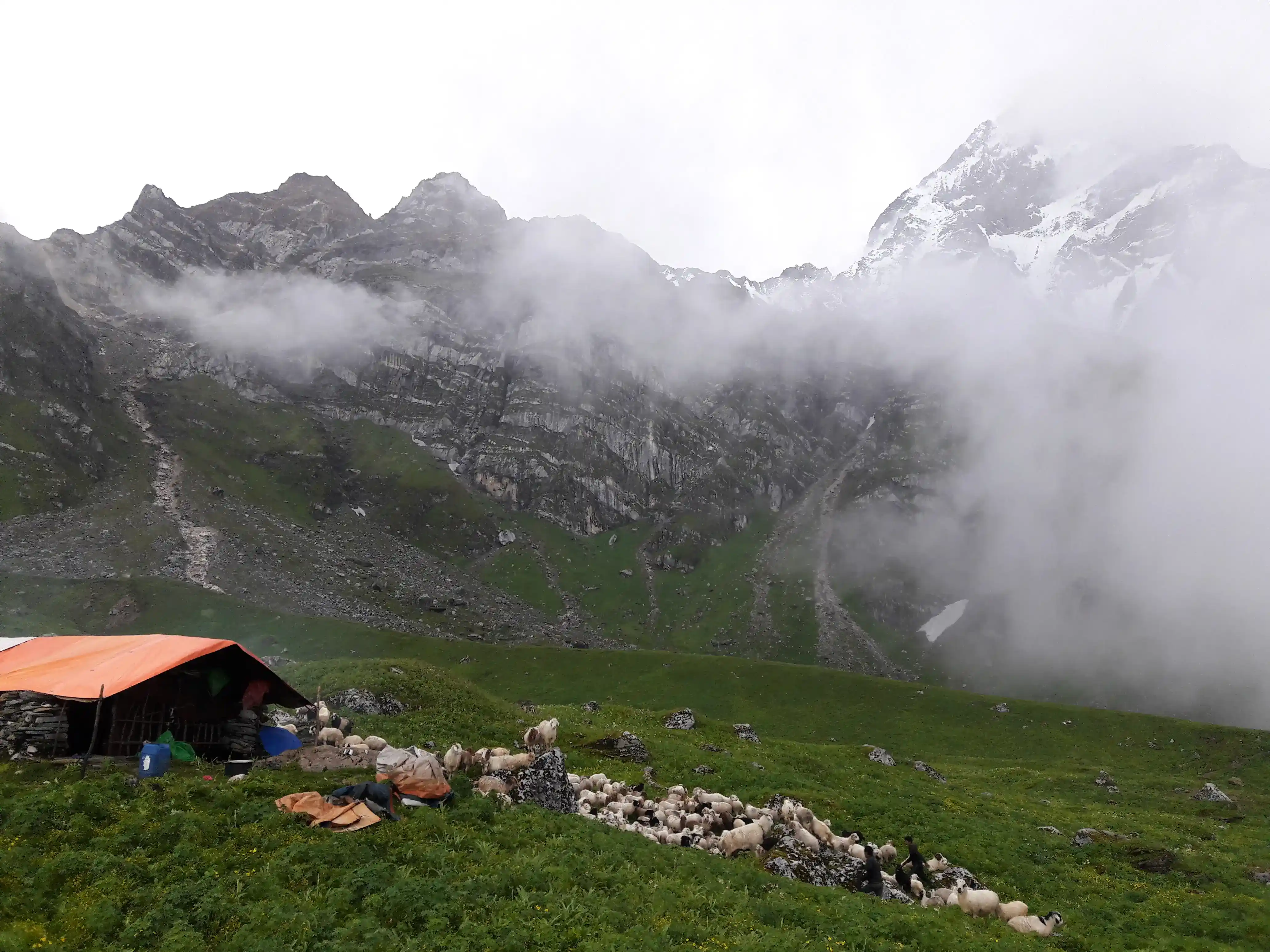 Khumai Korcha Trek 4 days| North Nepal Trek - photo 3
