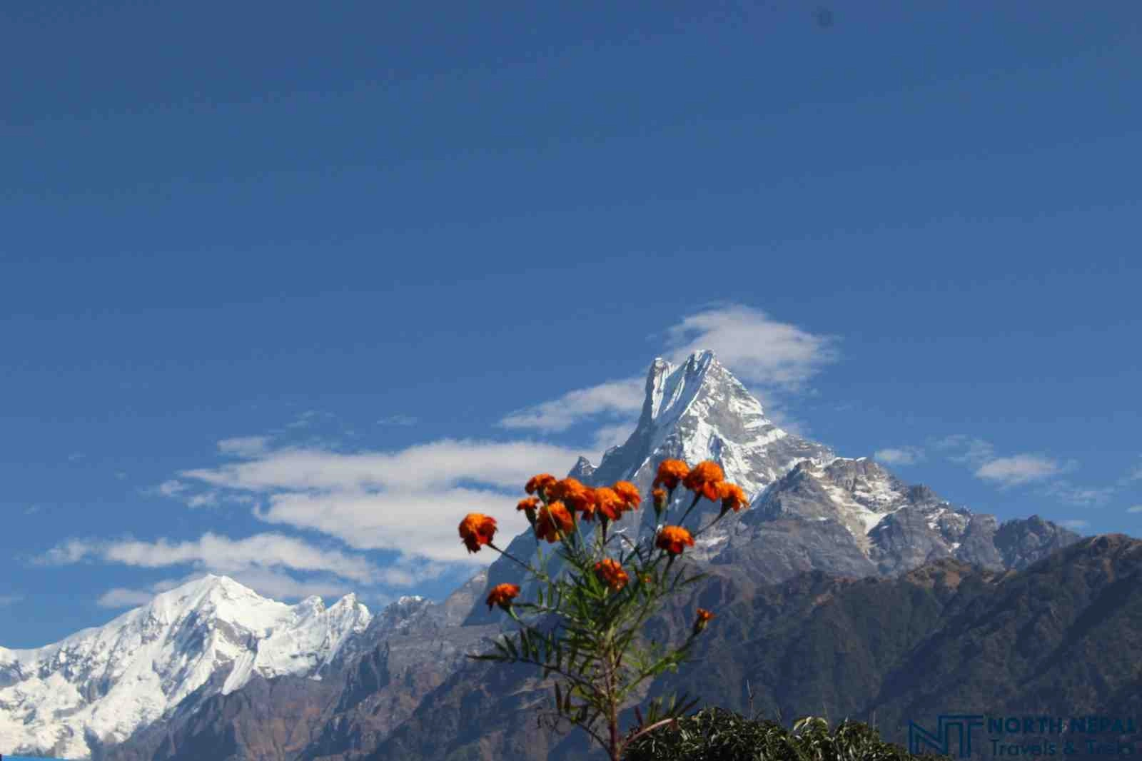 Ghandruk Village Trek: 6 Days - photo 2