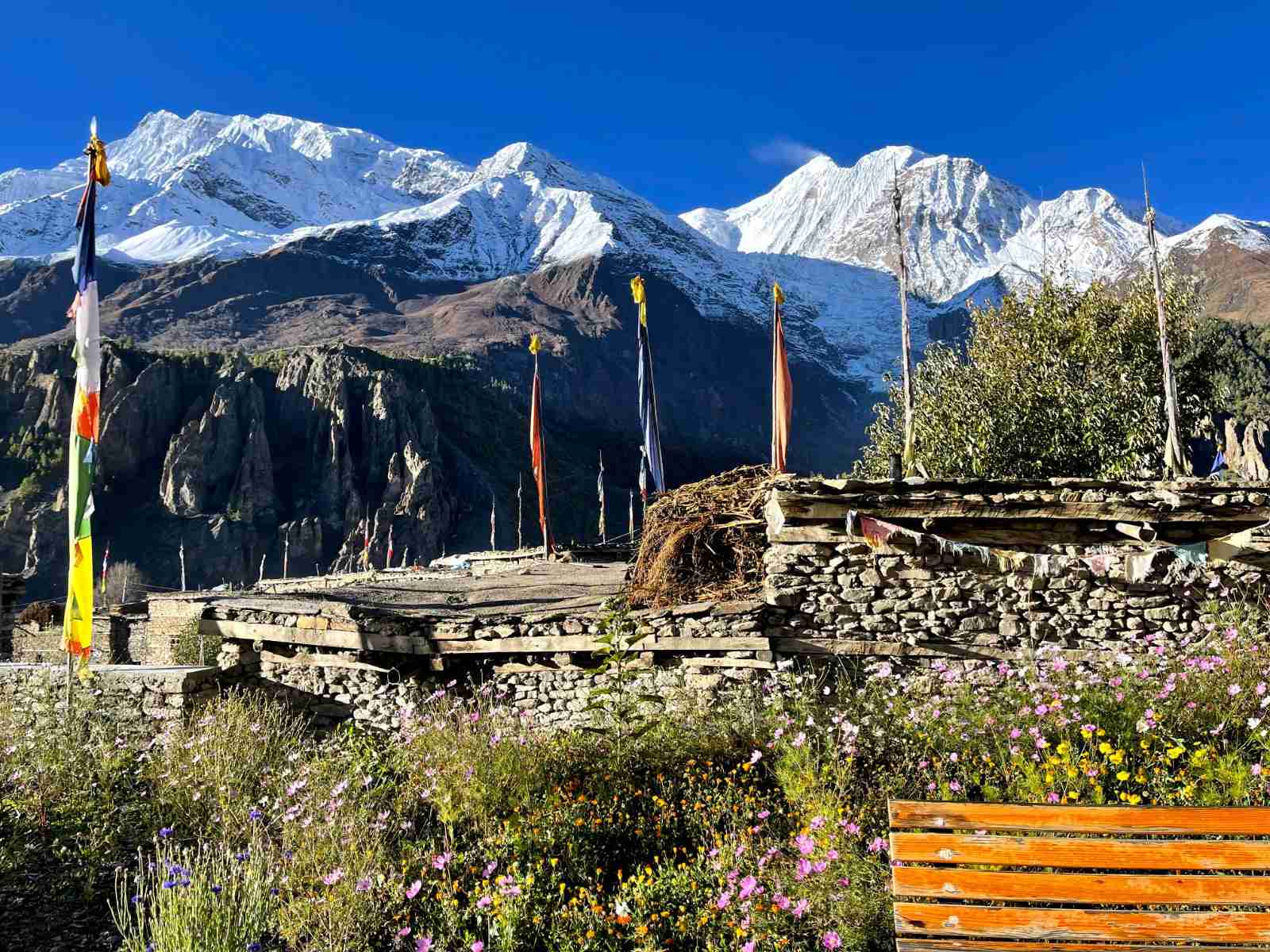 Tilicho Lake Trek via Annapurna Circuit & Thorong La - 11 Days - photo 2