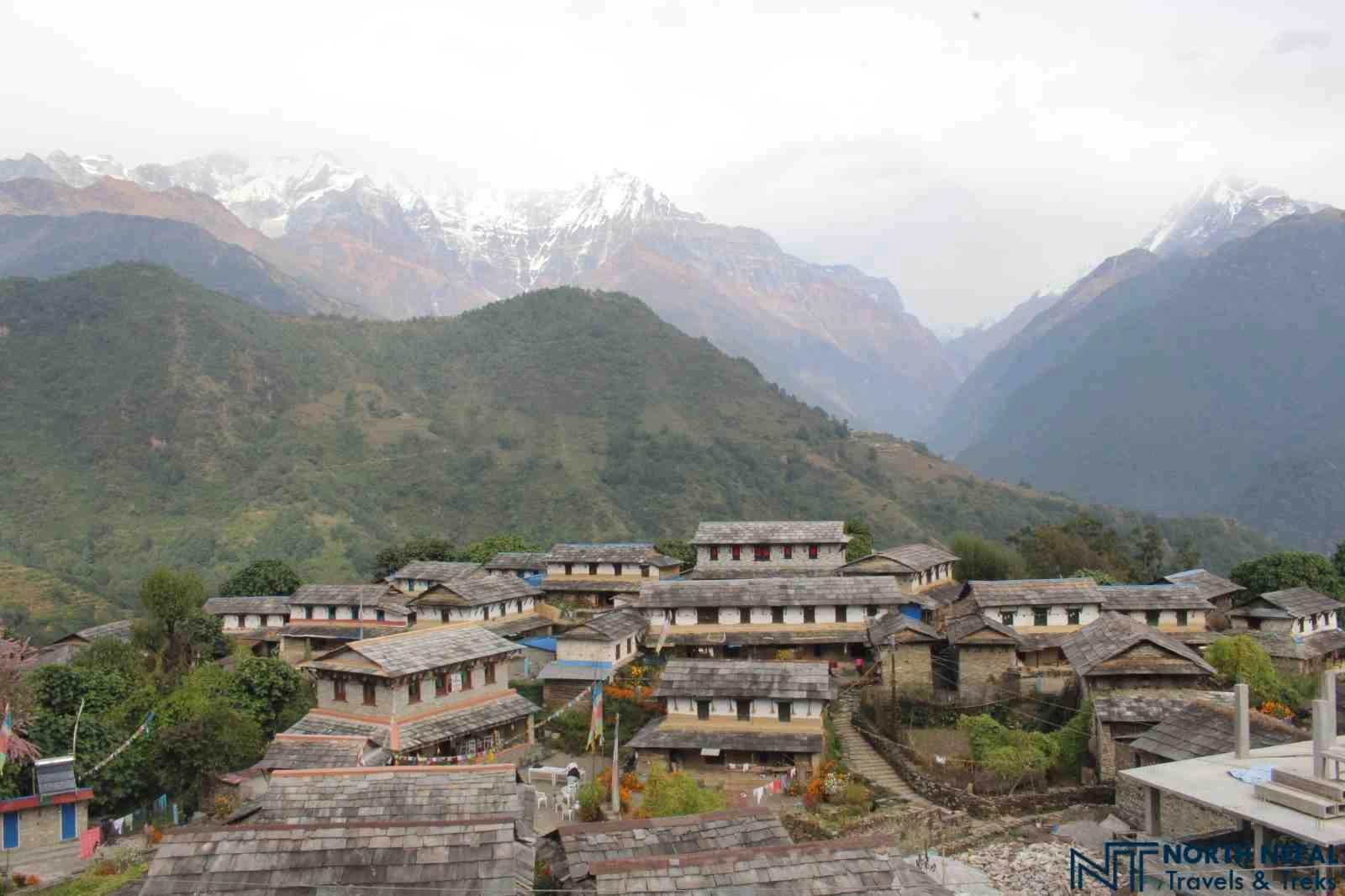 Ghandruk Village Trek: 6 Days - photo 3